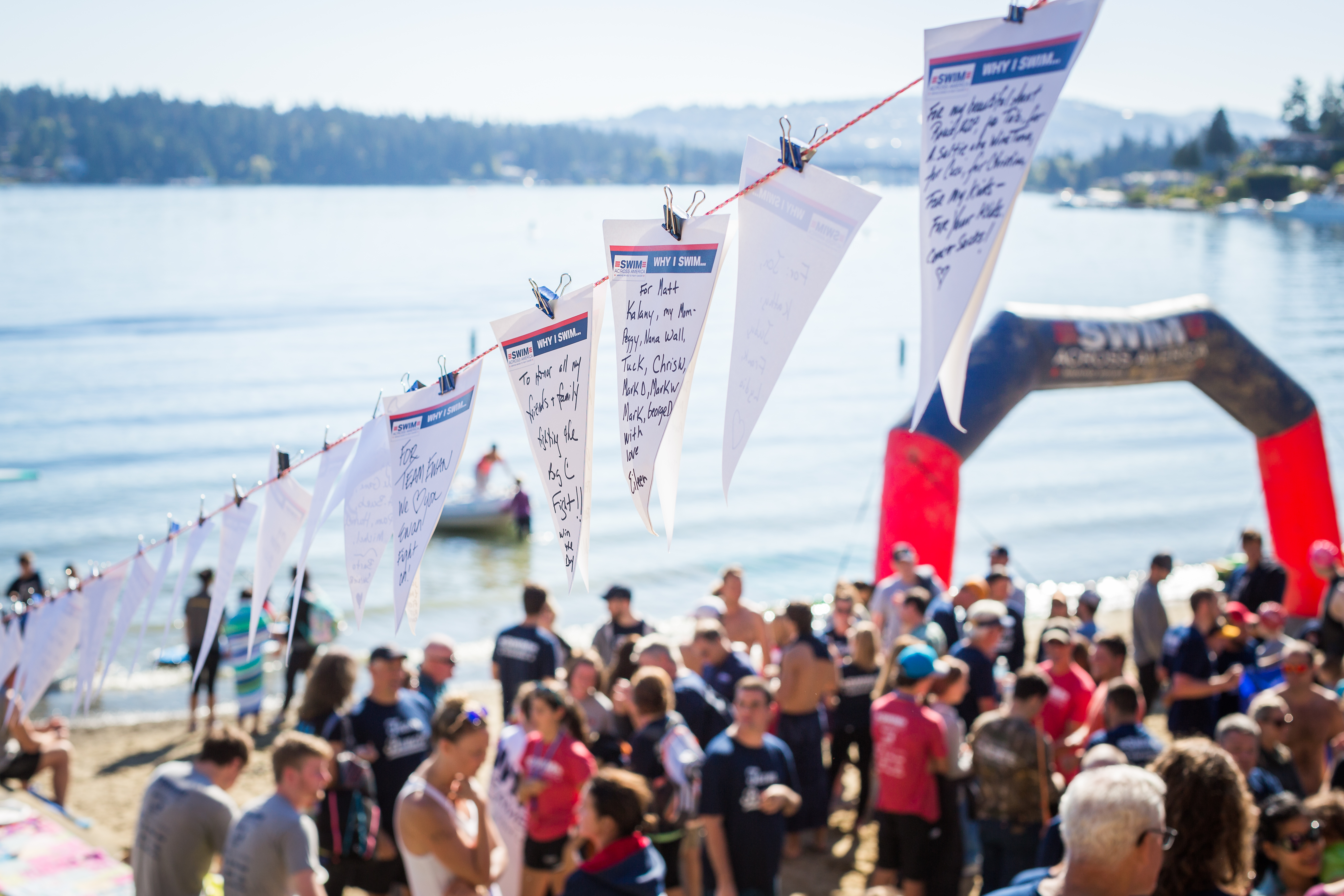 SAA Why I Swim Flags